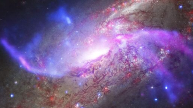 Oroscopo per la giornata di domenica 25 ottobre, previsioni per tutti i segni zodiacali.