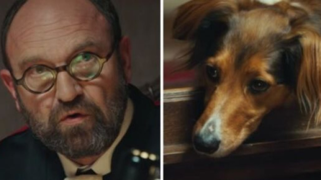 La nouvelle campagne choc de 30 millions d'amis - Photo capture d'&eacute;cran vid&eacute;o Twitter