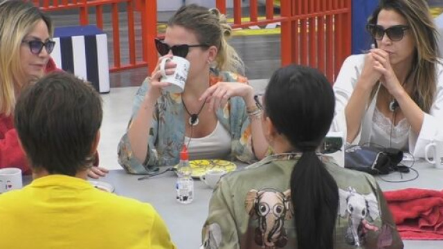 GF Vip, Zorzi contro Stefania Orlando