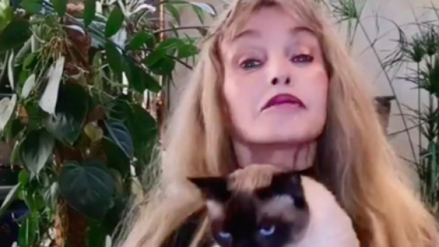 Arielle Dombasle offre 10 000 &euro; &agrave; l'association " Les chats de Stella" - Photo Instagram Arielle Dombasle
