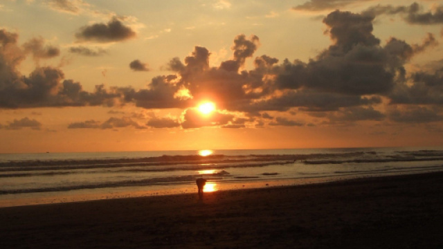 L'oroscopo del giorno 21 gennaio: Scorpione favorito in amore, Pesci in crisi (2&ordf; met&agrave;).