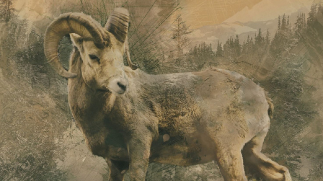 Oroscopo e classifica di marted&igrave; 19 gennaio: Leone perplesso, Capricorno riflessivo.