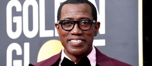 Wesley Snipes j&aacute; acabou preso. (Arquivo Blasting News)