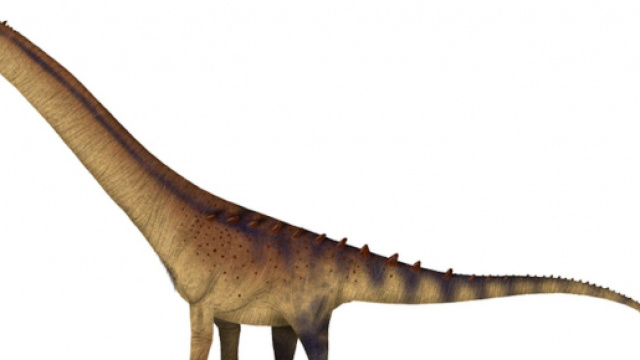 Un nouveau dinosaure aux dimensions gigantesques vient d'&ecirc;tre d&eacute;couvert. &copy;Wikimedia Commons