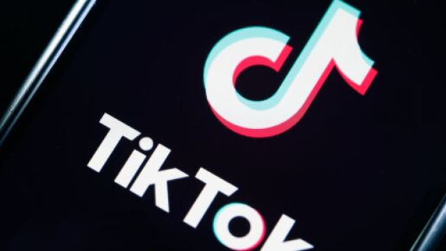 Palermo: bambina di dieci anni in rianimazione dopo una sfida su TikTok.