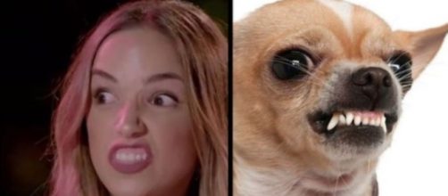 Los divertidos memes y parecidos razonables de La Isla de las Tentaciones no se han hecho esperar