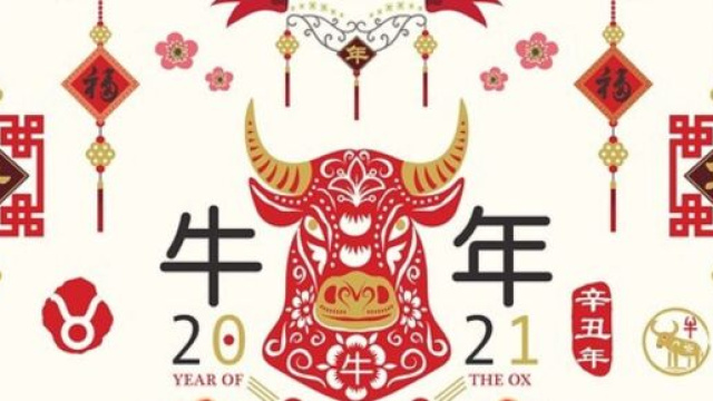 Oroscopo cinese, anno del Bufalo: anno fortunato per il Serpente e il Gallo