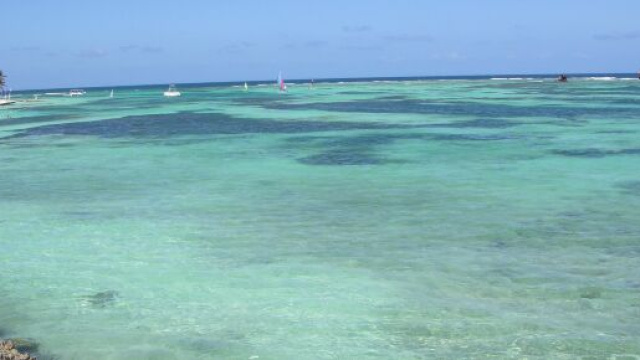 Donna italiana ucciso Santo Domingo: il corpo rinvenuto in frigo, coinvolti connazionali