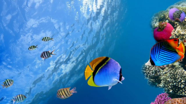 Oroscopo e classifica di luned&igrave; 25 gennaio: Scorpione nostalgico, Pesci romantici.