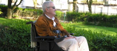 Esperança de cura à paraplegia: ratos de laboratório com paralisia voltam a andar