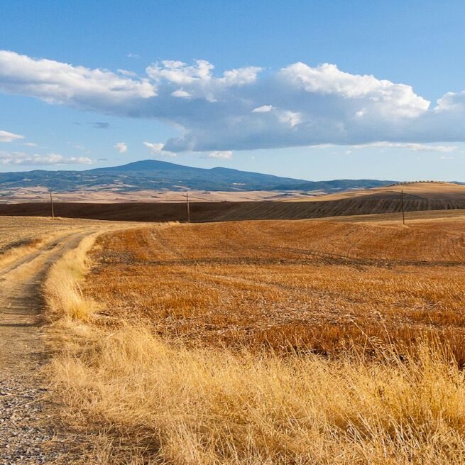 Un terreno confiscato alla criminalit&agrave; organizzata in Toscana.