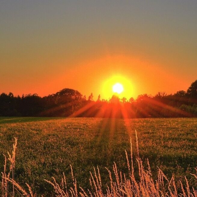 A Nasa nunca disse que o sol pode nascer no oeste. (Reprodu&ccedil;&atilde;o/Pexels/Jonathan Petersson)