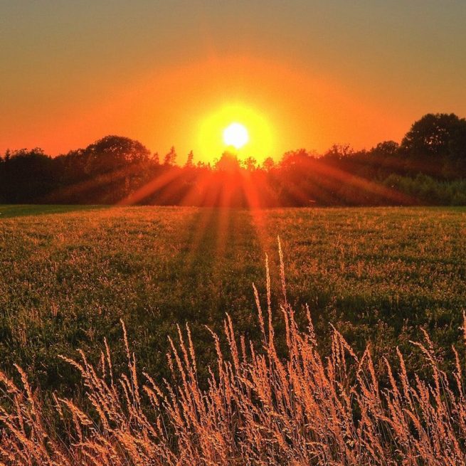 La NASA non ha mai detto che il sole sorge da ovest. &copy; Pexels / Jonathan Petersson