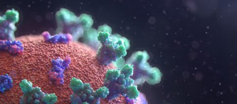 Fatiga, dolor de garganta y mialgia, los síntomas de la cepa británica de coronavirus