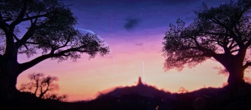 As perspectivas do taurino para 2021. (Arquivo Blasting News)