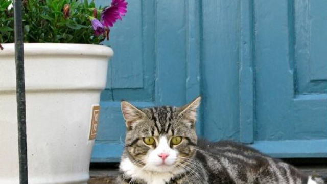 image d'illustration, source : Pixabay