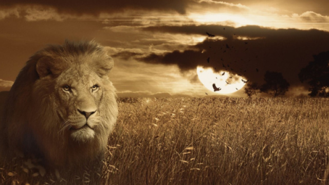 Oroscopo e classifica settimanale dal 4 al 10 ottobre: finanze top per il Leone.