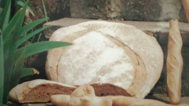 Alimento per eccellenza, il pane &egrave; essenziale a tavola.