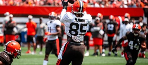 David Njoku set a career-high in receiving yards (Image source: Flickr/Erik Drost)