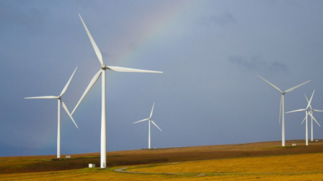 Numero verde Controcorrente Energia: come contattare l&rsquo;assistenza clienti.