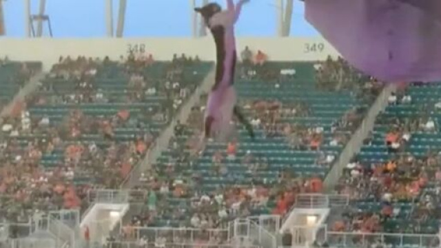 Un chat chute de plusieurs m&egrave;tres dans un match de football et survit - Source : capture d'&eacute;cran @TheIndependant