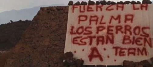 El misterioso cartel indicar&iacute;a que los perros fueron rescatados an&oacute;nimamente (RRSS)