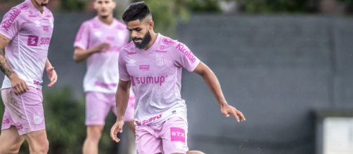 Santos ser&aacute; um dos times a estar em campo neste final de semana (Ivan Storti/Santos FC)