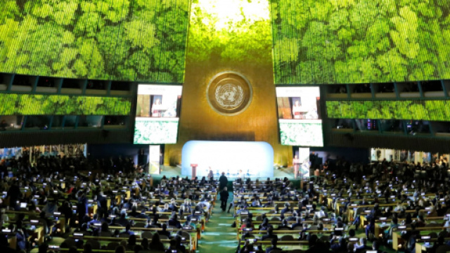 Alcuni stati membri dell'Onu starebbero facendo pressione per frenare l'emergenza del cambiamento climatico - Fonte Onu