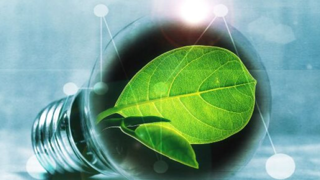 Numero verde Energit: l'azienda utilizza energia green.