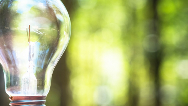 Numero verde Energia Sociale: come contattare l'assistenza clienti.