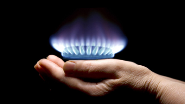 Numero verde Ecogas: il contatto per l'assistenza clienti.