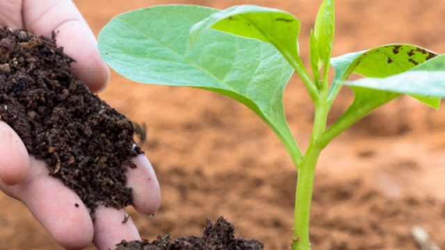 Sei comuni, per 58.000 abitanti, coinvolti nel Progetto ComLoc finanziato dalla Regione Lazio.