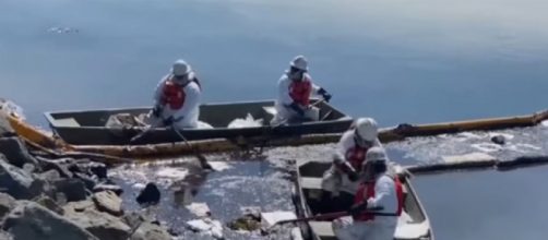 Oil spill on the coast of California covers nearly 13 square miles of the Pacific Ocean (Image source: WION/YouTube)