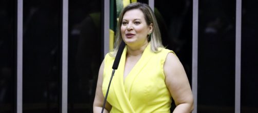 Joice Hasselmann critica Bolsonaro (Luis Macedo/C&acirc;mara dos Deputados)