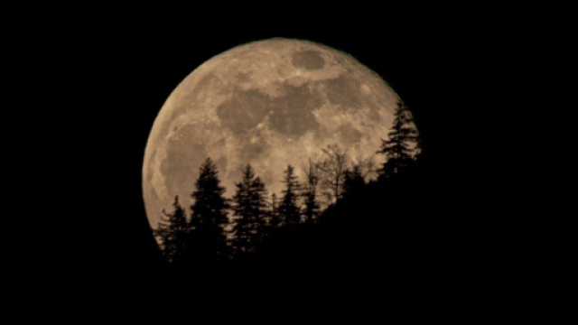 Oroscopo e classifica di gioved&igrave; 4 novembre: il novilunio d'acqua premia il Cancro.