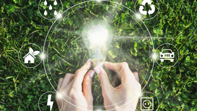 Numero verde Geko: societ&agrave; di vendita di luce e gas naturale.