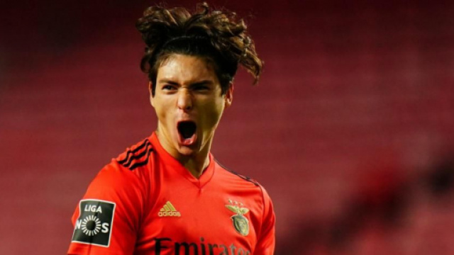 Darwin Nunez, punta del Benfica.