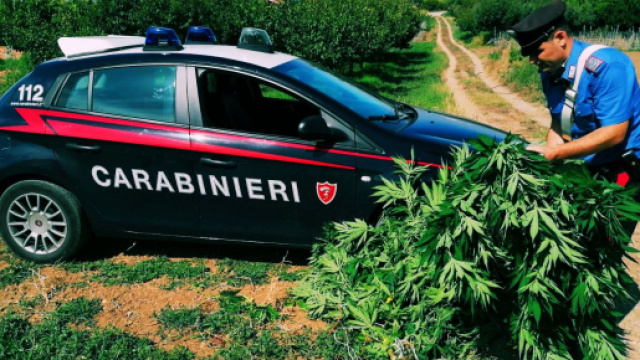 L'operazione &egrave; stata messa a segno dai carabinieri.