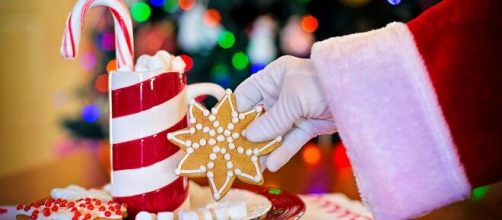 S&iacute;mbolos natalinos e seus significados (Reprodu&ccedil;&atilde;o/Pixabay)