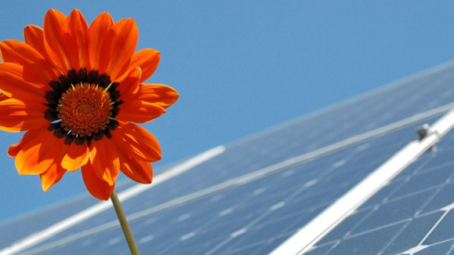 Numero verde Italy Green Power: forniture luce e gas e efficientamento energetico.