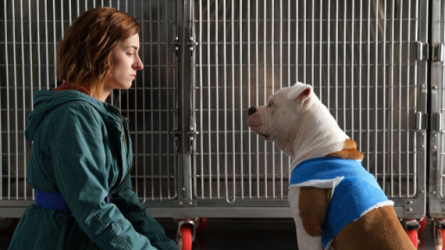 Blanca, su Rai 1 la serie tv girata a Genova.
