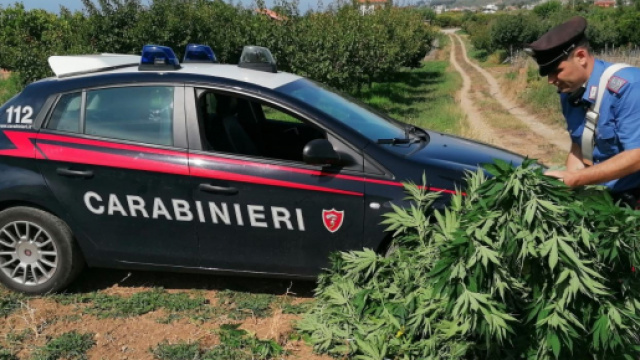 L'operazione &egrave; stata messa a segno dai carabineri.