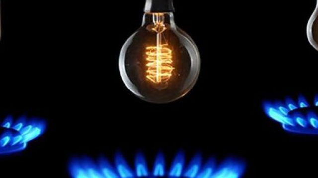 Numero verde Phlogas & Power, energia elettrica e gas al servizio del cliente in Molise.