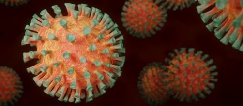 Algunas pa&iacute;ses ya han tomado medidas tras la aparici&oacute;n de esta nueva variante del coronavirus (Foto Pixabay)
