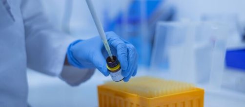 La secuenciaci&oacute;n del virus se realiz&oacute; gracias a &ldquo;un procedimiento ultrarr&aacute;pido&rdquo; (Pixabay)