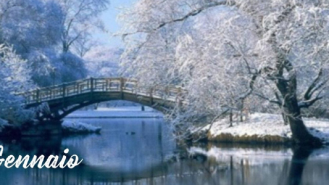 L'oroscopo di gennaio, 1&ordf; parte: progetti in arrivo per Cancro, Leone e Toro in risalita.