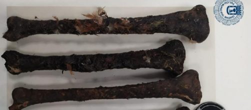 La Polic&iacute;a Municipal ha hallado cuatro tibias humanas (Twitter @policiademadrid)