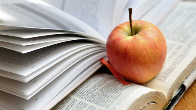 Concorso docenti 2021: al via Infanzia e Primaria.