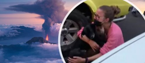 La familia se ha reencontrado con sus perros en La Palma (collage RRSS)