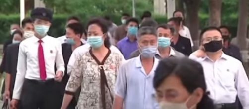 North Korea breeds black swans for meat to tackle food shortages (Image source: South China Morning Post/YouTube)